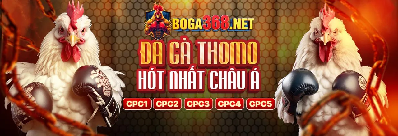Sân đấu gà trực tuyến m788 login sôi động