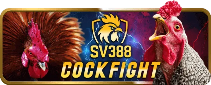 Chương trình VIP m788 login